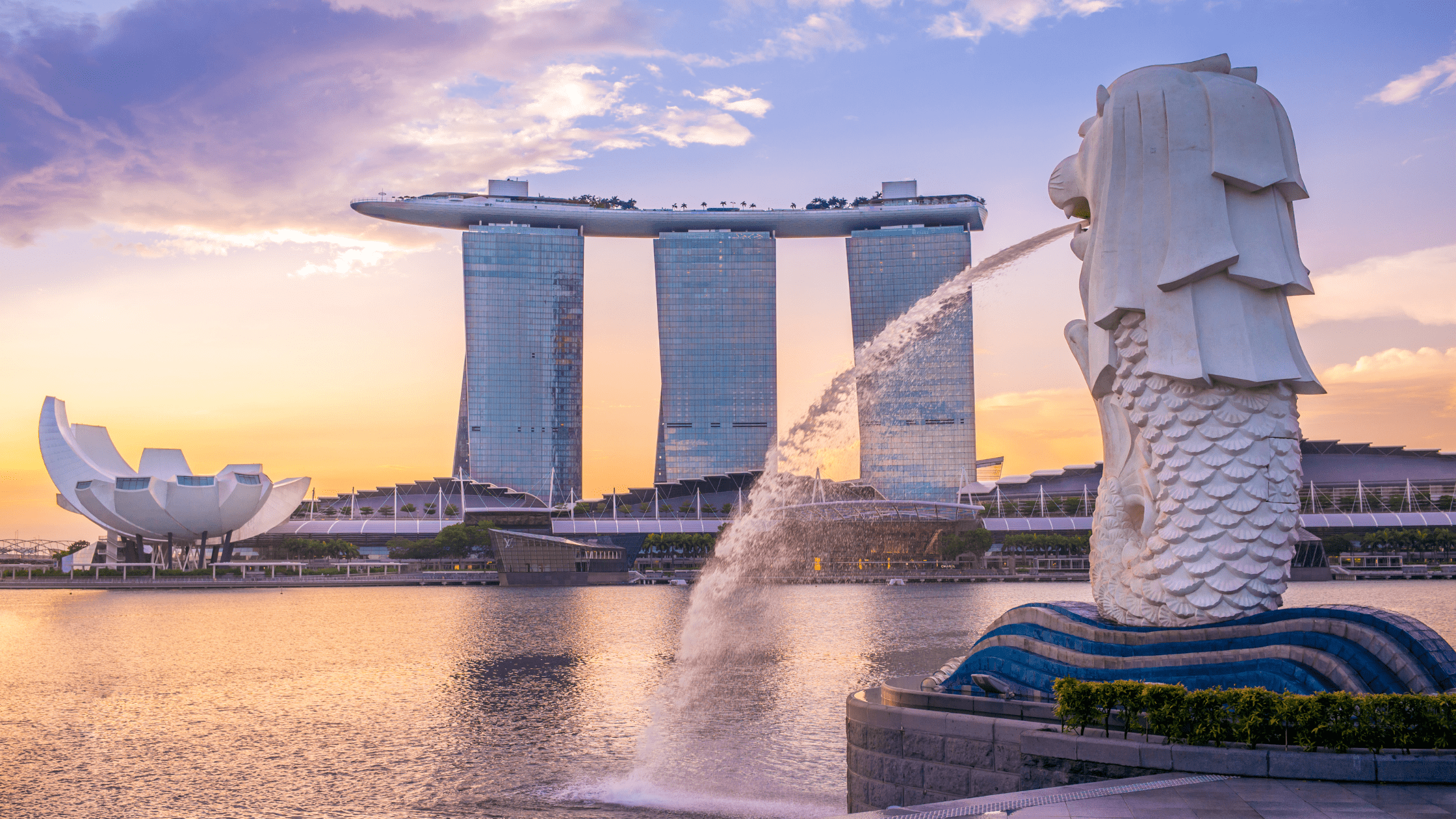 Singapore stocks buy