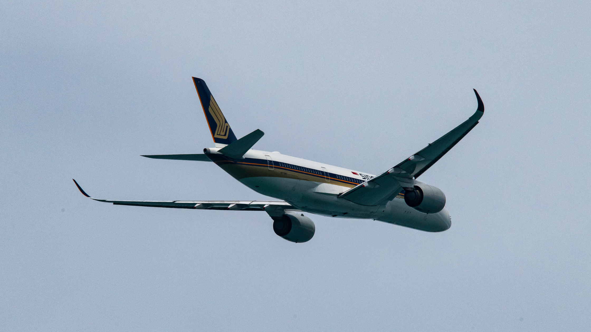 Singapore Airlines Miss Earnings Expectations in Q3 2024. Should Investors Sell?