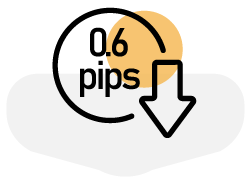 06pip